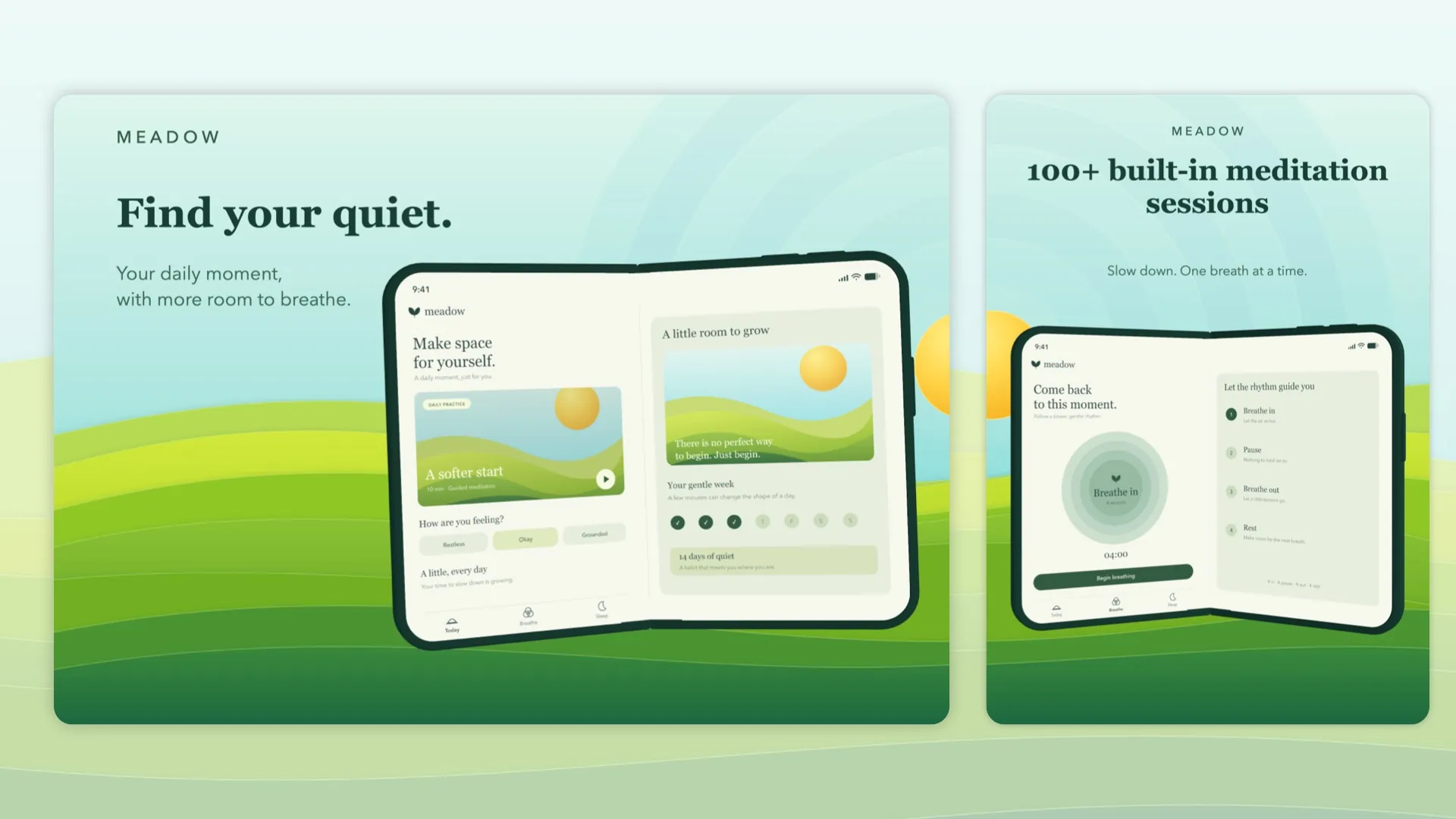 Meadow Meditation for iPhone Duo - Image 1