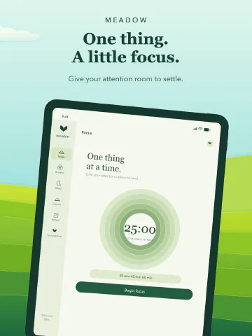 Meadow Meditation for iPad, screenshot 5: One thing. A little focus. Give your attention room to settle.